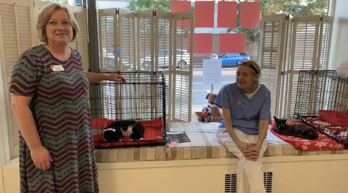 Howard Street Animal Hospital interior with Dr. Barbara Carlson
